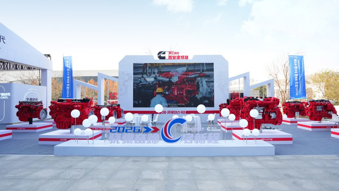 1765523296190100.jpg 11.jpg